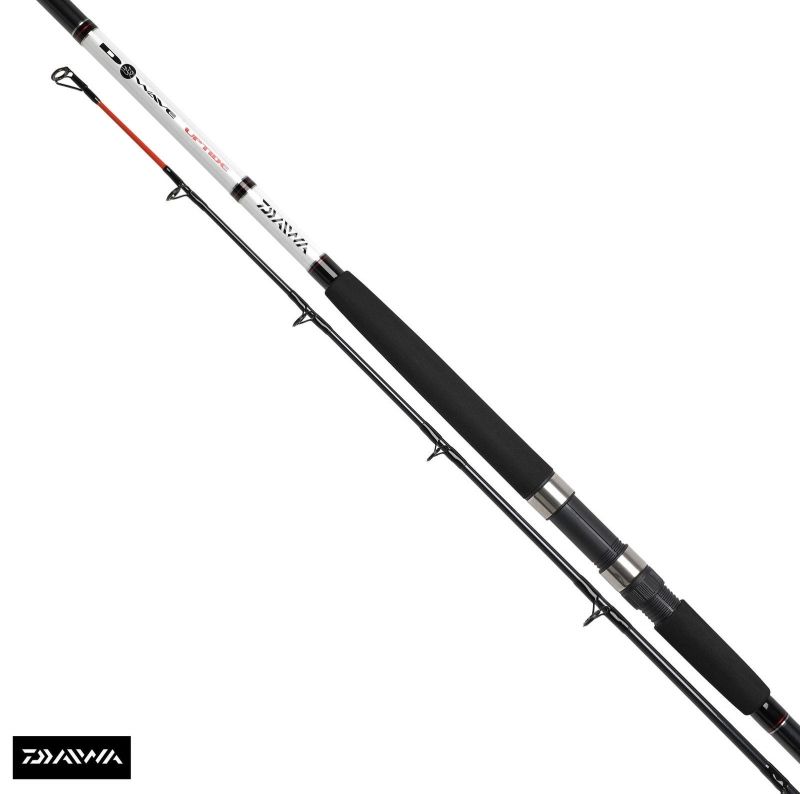 Sea fishing rod Daiwa D-WAVE UPTIDE from 2 sections - 2.92 m / 110-280 g