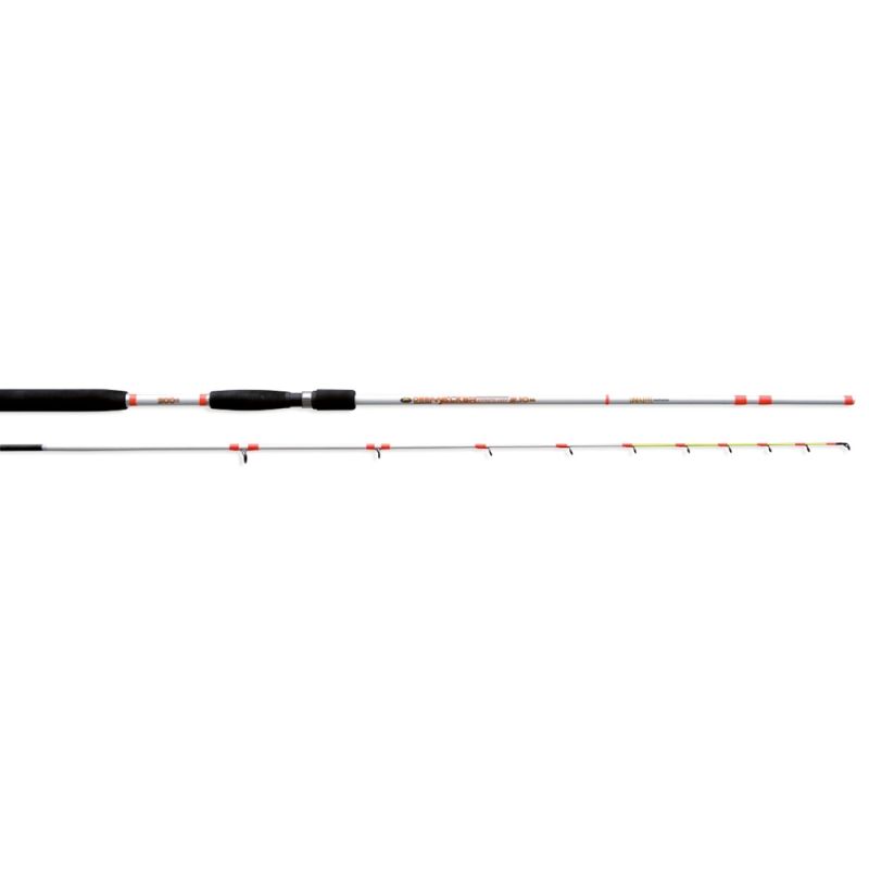 Trolling καλάμι Lineaeffe DEEP WALKER 300 - 2.40m/300gr