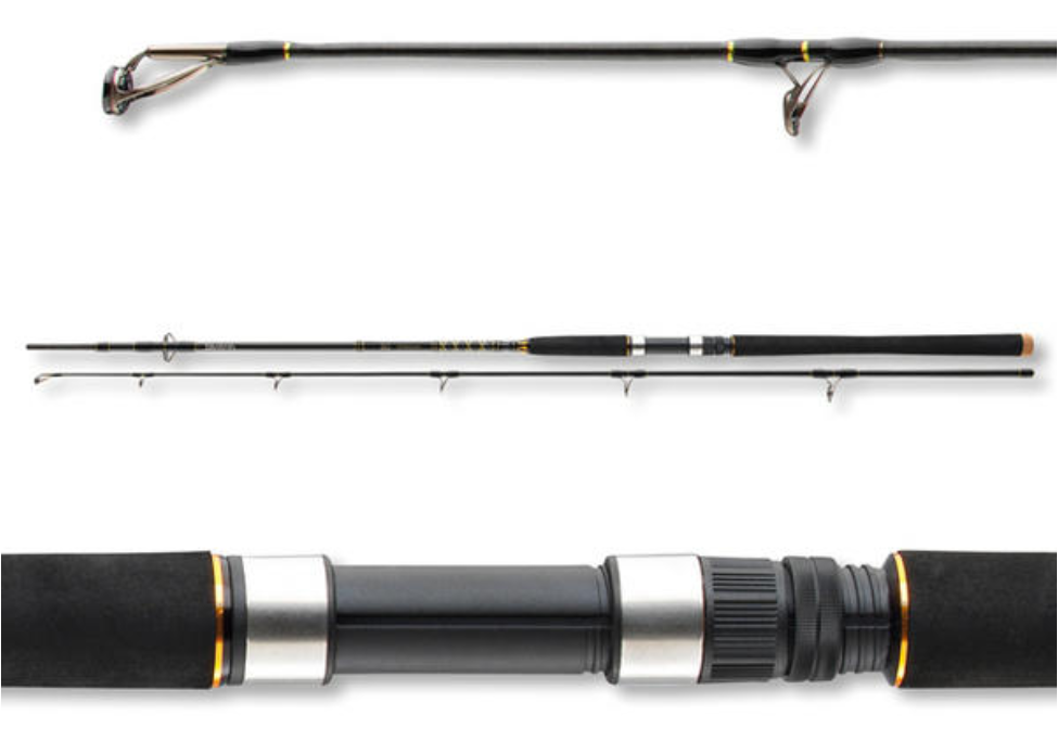 Sea fishing rod Daiwa BG OFFSHORE 20