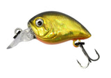 002 - CHBG