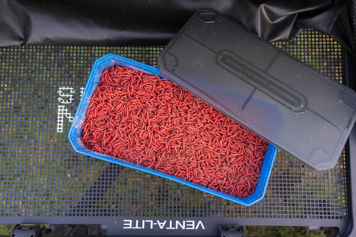 Кутия за стръв PRESTON 6PT BAIT TUB с червени стръвчета в синя кутия, готова за риболов.