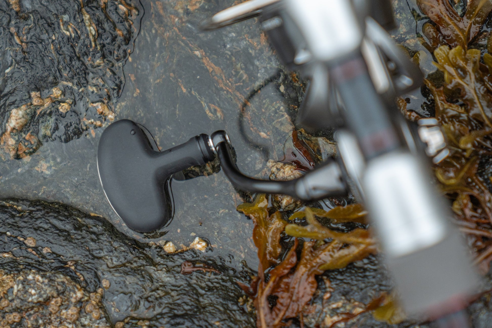Макара DAIWA 25 CALDIA FC LT на риболовна повърхност с водорасли и камъни.