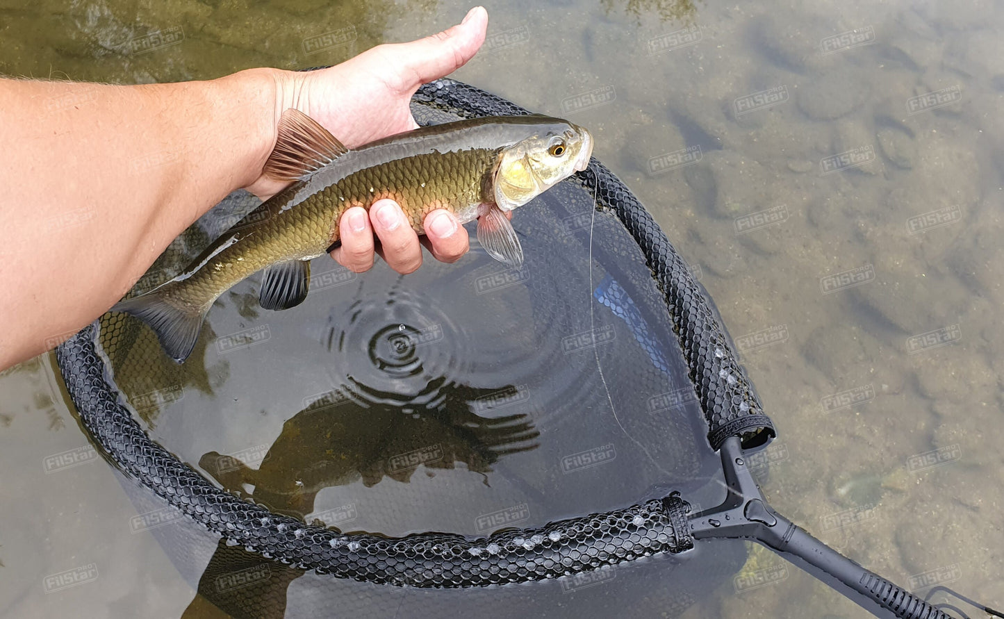 Кеп FILSTAR Pro Float Net - Oval 50×40см used to hold a catch in water, showcasing fishing equipment.