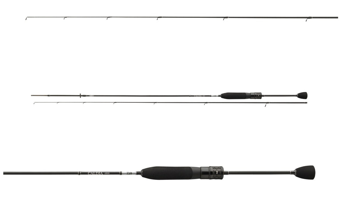 Спиннинговое удилище DAIWA 26 CALDIA NANOJIG