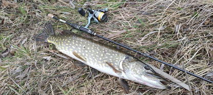 Καλάμι FilStar Venom River Crank 67UL - 2,04 μ./2–8 γρ.