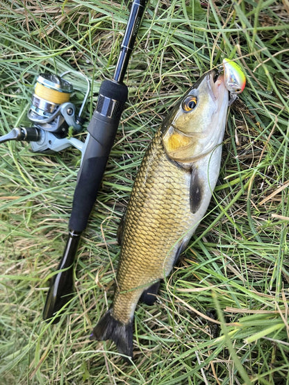 Удилище Filstar 365 Chub