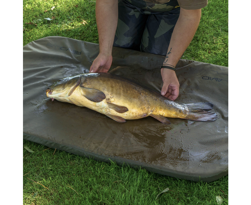 Карп дюшек - AVID REVOLVE FOLDING FLAT MAT being used for handling a caught fish on grass.