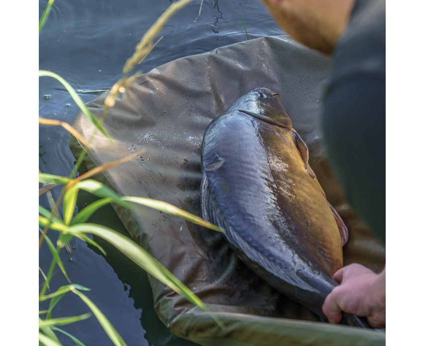 Карп дюшек - AVID REVOLVE FOLDING FLAT MAT with a fish on the bank, surrounded by water and greenery.