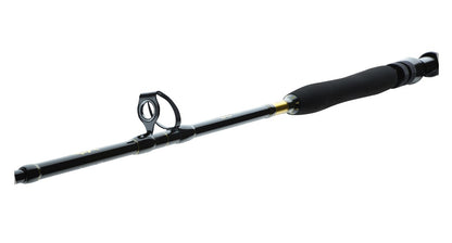 Спининг въдици DAIWA 23 BG BIG GAME, мощна рибарска пръчка с композитен материал за тропически условия.