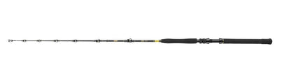 Спининг въдици DAIWA 23 BG BIG GAME - мощна риболовна пръчка с композитни бланки за любители на спортния риболов.
