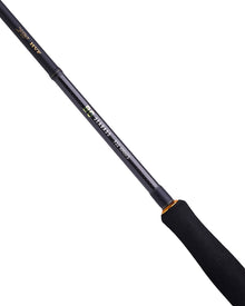 Спининг въдица за морски риболов DAIWA BG SEABASS