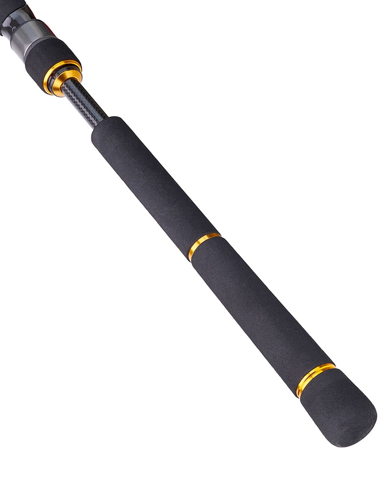 Спининг въдица за морски риболов DAIWA BG SEABASS