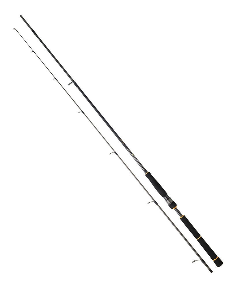 Спининг въдица за морски риболов DAIWA BG SEABASS