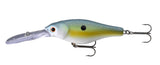 Blue Perch
