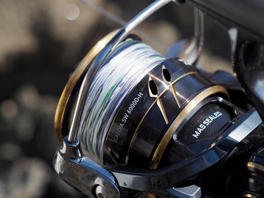 Макара Daiwa 22 CALDIA SW (JP) с шпула и влакно, детайлно изображение на риболовна макарa.