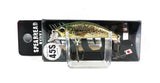 CCC3815 Brown Trout ND