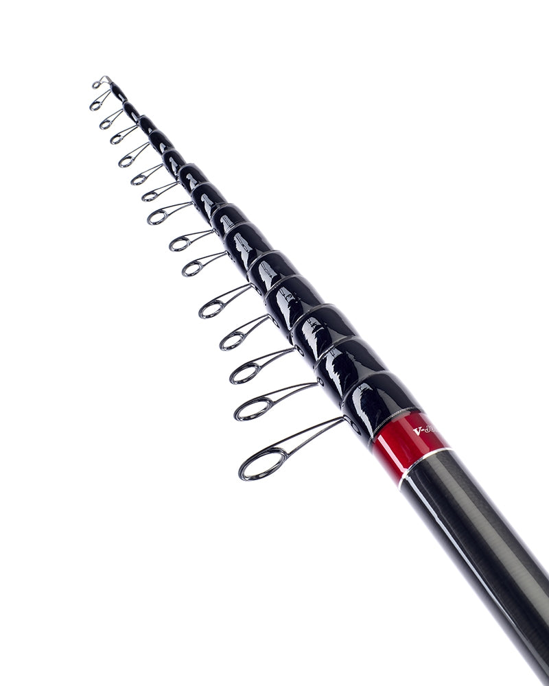 Болонезе въдици DAIWA 24 CONNOISSEUR PRO BOLO - 5/6m