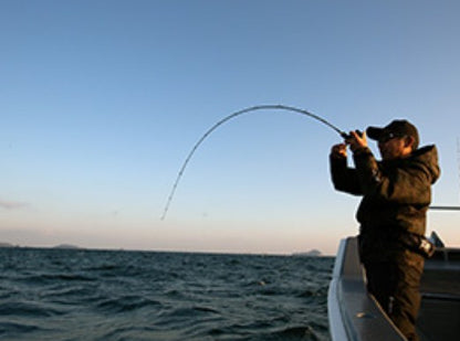 Light Jigging морска въдица за мултипликатор DAIWA Saltiga LJ
