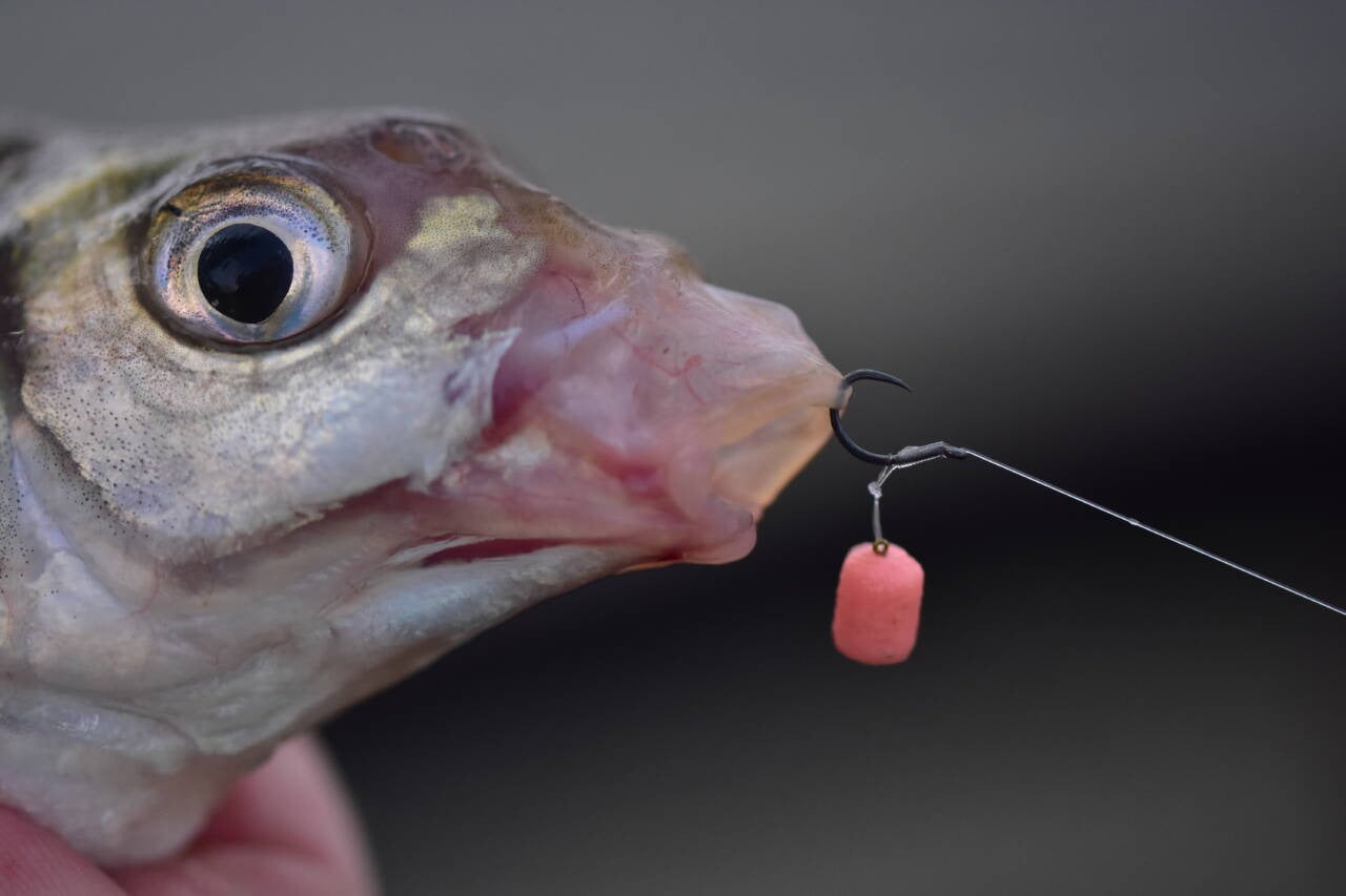 Балансирани дъмбели (wafters) Dynamite Baits Wowsers - 3mm