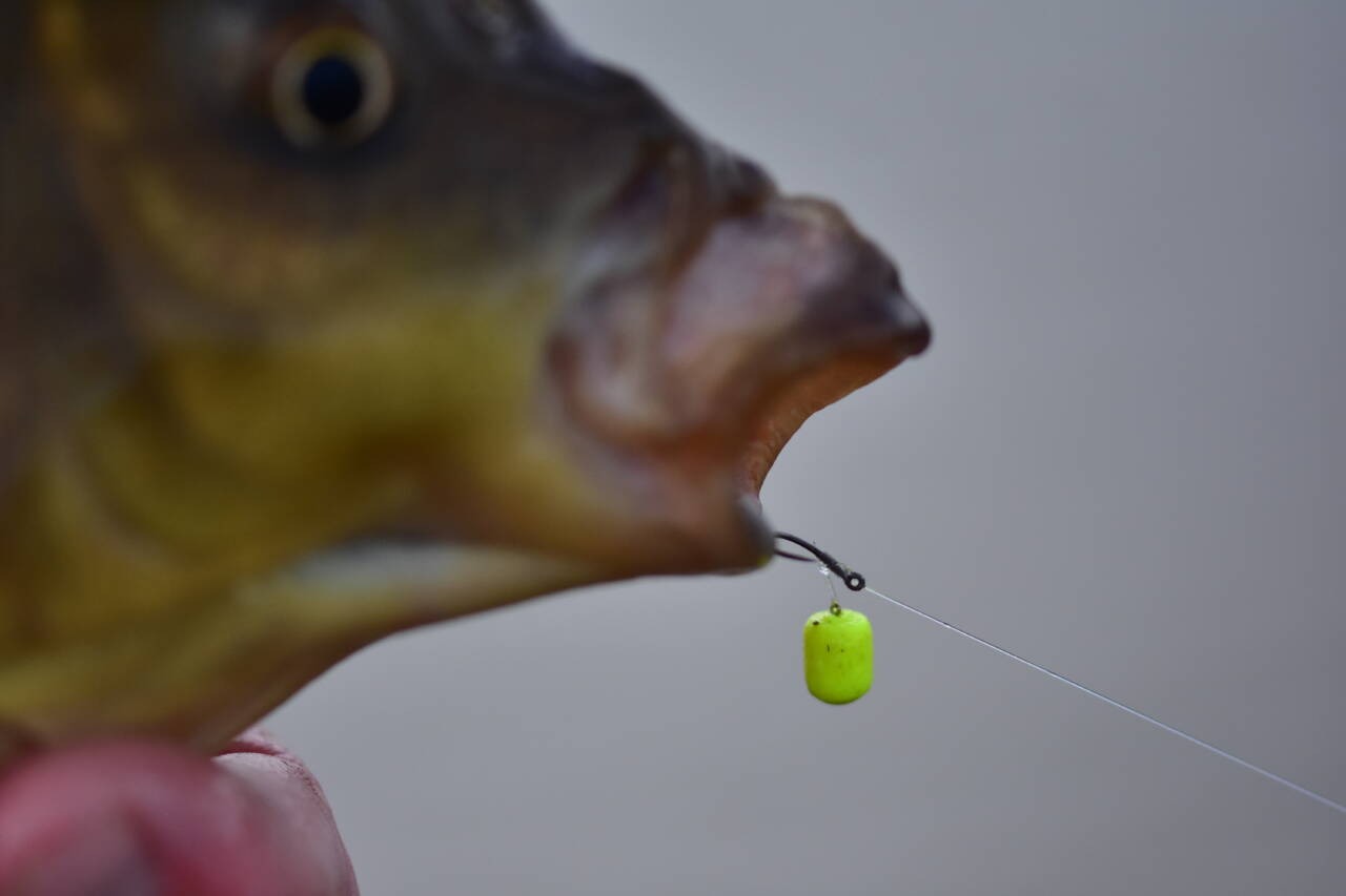 Балансирани дъмбели (wafters) Dynamite Baits Wowsers - 3mm
