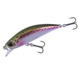 MMC4036 Rainbow Trout