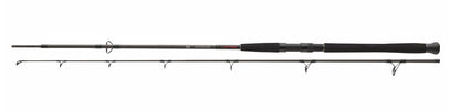 Въдици за риболов на сом DAIWA EXCELER CATFISH SPIN - 2.40/2.70m