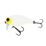 37 Bone