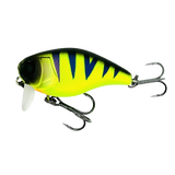 61 UV Mat Ch.Perch