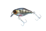 59 HL PERCH