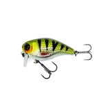 09 HL Perch