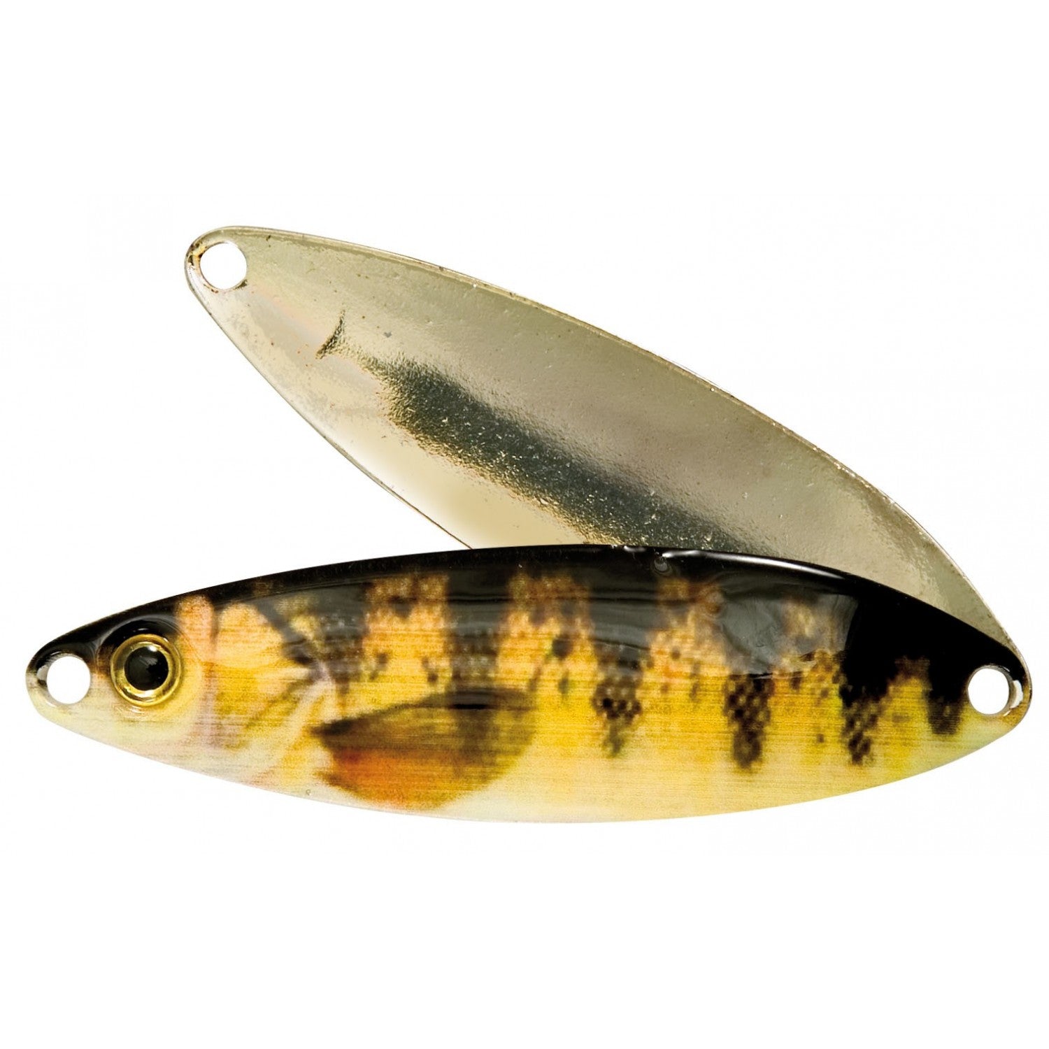 Variant source 2: real-perch.jpg