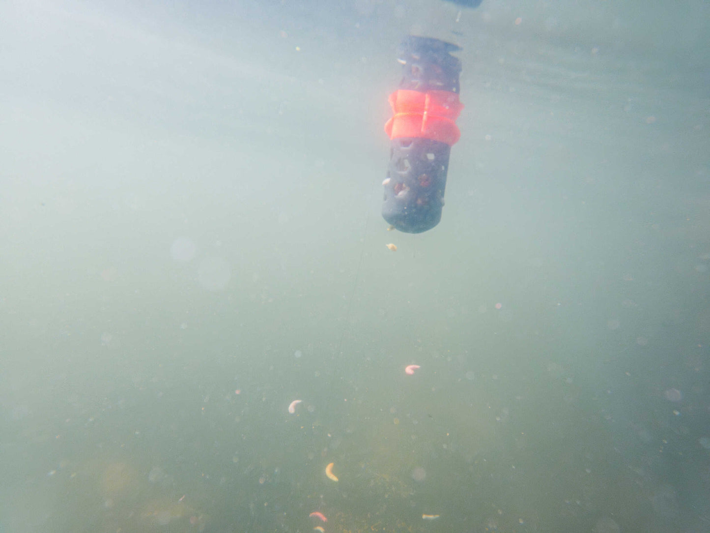 Плуваща фидер хранилка KORUM Floating Feeder под вода, демонстрираща начина на представяне на стръв и храна.