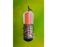 Фидер хранилка KORUM FLOATING WINDOW COMBI FEEDER FLUORO TOP - 4gr. в зелена природа, с поставена стръв.