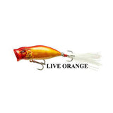 Live Orange Bleak