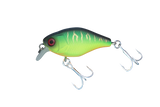 41 MAT TIGER