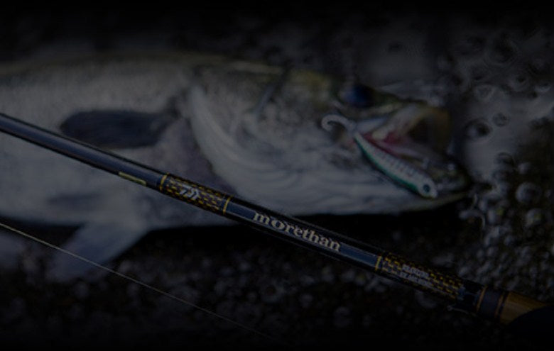 Спининг въдици за морски риболов DAIWA Morethan Branzino EX AGS с риба на фон