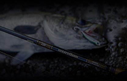 Спининг въдици за морски риболов DAIWA Morethan Branzino EX AGS с риба на фон