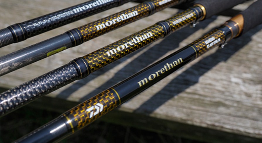 Спининг въдици за морски риболов DAIWA Morethan Branzino EX AGS, показани на снимка с различен дизайн.