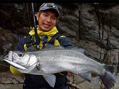 Спининг въдицa за морски риболов DAIWA MORETHAN WISEMEN 109M POWER ROCK CUSTOM - 3.28m/50gr(max) с уловена риба.