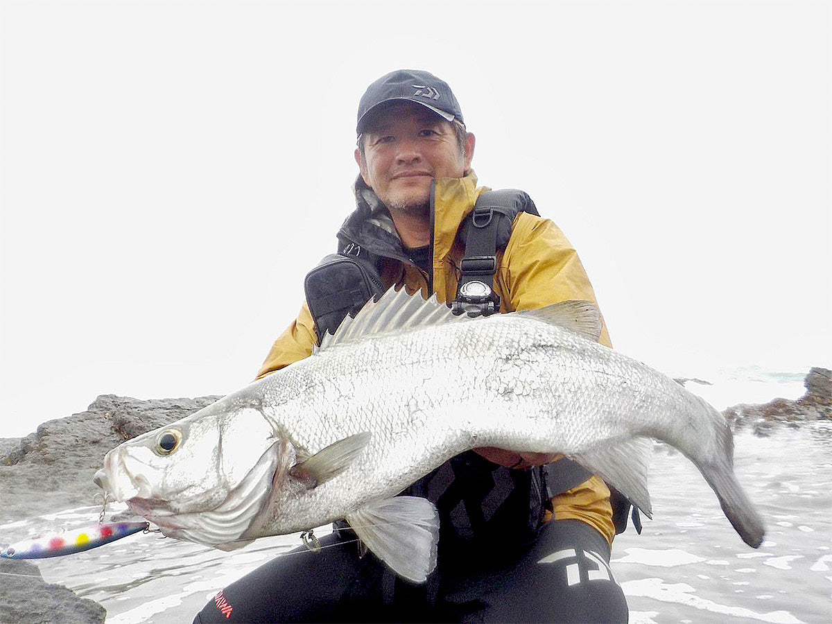 Спининг въдицa за морски риболов DAIWA MORETHAN WISEMEN 109M POWER ROCK CUSTOM - 3.28m/50gr(max) с уловена риба на скалист плаж.