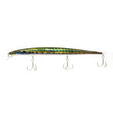 REAL SARDINE