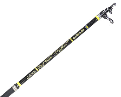 Удилища для серфкастинга Lineaeffe PERSONAL CASTER WTG - 4.20m 200/250gr