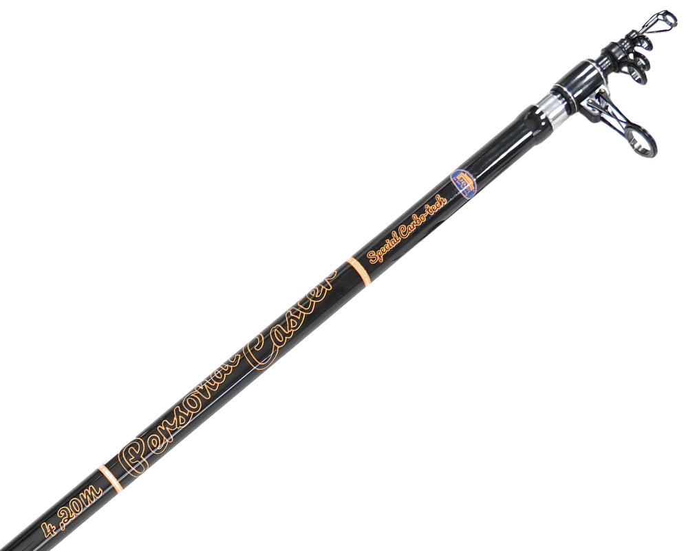 Удилища для серфкастинга Lineaeffe PERSONAL CASTER WTG - 4.20m 200/250gr