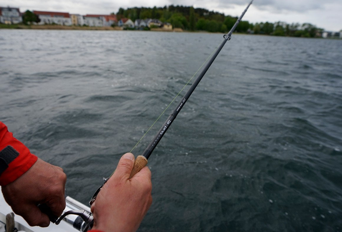 Спининг въдици DAIWA PRO STAFF BIG BAIT SPIN