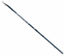 Болонеза въдица Lineaeffe ORION BOLO 6.00m/25gr