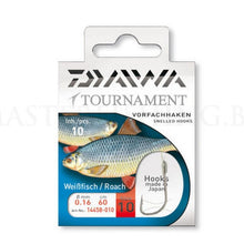 Вързани куки - Daiwa TOURNAMENT Roach Hooks опаковка с 10 куки за риболов на червеноперка.