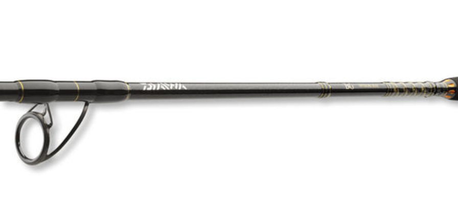 Sea fishing rod Daiwa BG OFFSHORE 20 - 2.40m/50-165gr