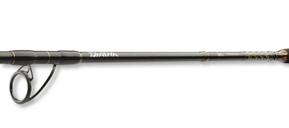 Sea fishing rod Daiwa BG OFFSHORE 20 - 2.40m/50-165gr