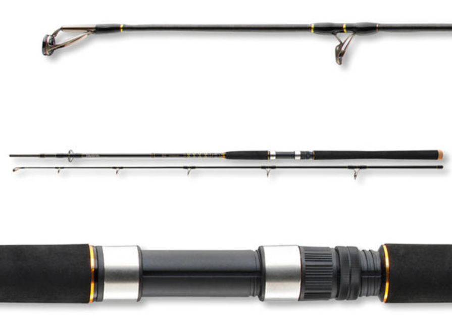 Sea fishing rod Daiwa BG OFFSHORE 20 - 2.40m/50-165gr
