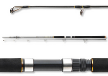 Въдица за морски риболов Daiwa BG OFFSHORE 20 - 2.40m/50-165gr, представена от различни ъгли.